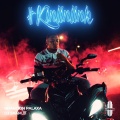 DJ Skam、Brandon Palaxa - Kinlinlink