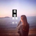 快板 - 爱情废柴