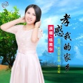 杨美华 - 孝感我的家乡
