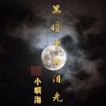小啊海 - 黑暗中的泪光