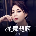 花姐 - 挥舞翅膀