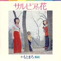 もとまろ - サルビアの花
