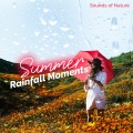 Summer Rainfall Moments