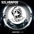 Silverfox、Wippermann - Rinse out Da Sound