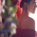 筱  心琪 - 北半球