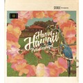 Harry Hawaii - Riesenwellengang