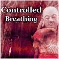 Mindfullness Meditation World - Feel the Rain on Your Skin