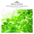 Antonín Dvořák - Dvorak: Humoresque In G Flat Major Op.101 No.7
