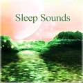 Insomnia Music Universe - Maple Tree
