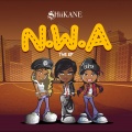 Shiikane - This Year