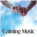 Calming Music Sanctuary - Stress Free