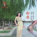 赵娜 - 今生不分离