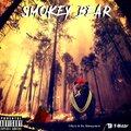 DJ Skandalous、DJ Corbett、T-Bizzy & The Management、Black Light Music、Todd J. Brauer - Smokey Bear (Explicit)