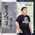 何春明 - 爱了伤了痛了淡了