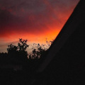 Snøw、Monty Datta - Say Goodbye