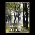 Various Artists - Calm Your Mind