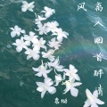 袁挺 - 离人回首醉清风 (新版)