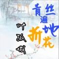 叶孤城 - 青丝遍地折花