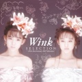 Wink - Special To Me