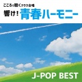 春日部市立豊春中学校 - 島唄