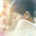 泉まくら - ふちどり