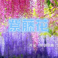 开元 - 原来我并不属于这里