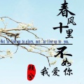 顾兮 - 春风十里不如我爱你