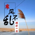 精彩一菲 - 寒风不乱
