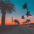 王道言 - 成长篇