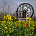 春风十里不如我爱你