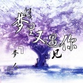 梦人 - 梦里又遇见你