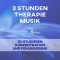 3 Stunden Therapie Musik zu Studieren, Konzentration und Fokussierung: Naturgeräusche & Beruhigende Musik für Tiefenentspannung, Lernen, Denken und Lesen