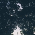 纱缇 - 向死而生