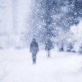 一只毒月饼 - 雪落无声