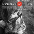梦人 - 对父母的亏欠