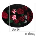 晋迪 - 于爽