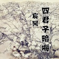 宸风 - 四君子暗梅
