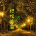 酒乐 - 致青春