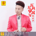 陈星华 - 红红的中国年 (DJ版)