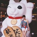 林碧落 - 伪象