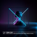 Harley Bird、Zeus X Crona、Xhara - Hold You Down