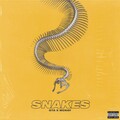 GTA、McKay - Snakes