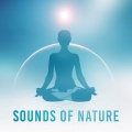 Deep Sleep Meditation - Inner Peace