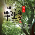 颜笑 - 毕业季之三年情
