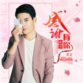 苏云 - 感谢有你陪伴