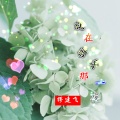 缪建飞 - 就在分手那一夜