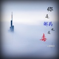 苏辰念 - 你是解药也是毒