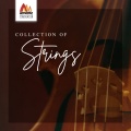 Collection of Strings