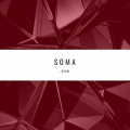 Axon - Soma