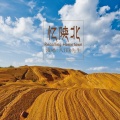 八TER先生 - 忆陕北